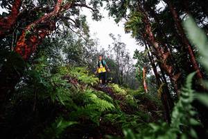 BIB: 
                            <button type="button" onclick="openModal(26205566)" class="btn btn-primary btn-sm float-right btn-popup" data-toggle="modal" data-target=".modal-high-quality">
                        <i class="fas fa-shopping-cart"></i> Add to Cart
                    </button>
                                            <button type="button" onclick="isThisMe(26205566, true)" class="btn btn-success btn-sm float-right btn-popup btn-isme hidden" data-toggle="tooltip" data-placement="bottom" title="นี่คือรูปของคุณใช่ไหม คลิกที่นี่เพื่อเอาเข้าอัลบั้ม">
                        <i class="fas fa-plus"></i> Add to album
                    </button>
                    <button type="button" onclick="isThisMe(26205566, false)" class="btn btn-warning btn-sm float-right btn-popup btn-isnotme hidden">
                        <i class="fas fa-ban"></i> Remove from album
                    </button>